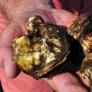 UH Hilo, Navy using native oysters to improve Pearl Harbor water quality