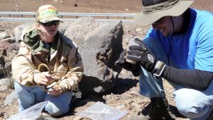 two scientists doing field research