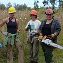 UH Hilo researchers win medal for paper on native ecosystem restoration