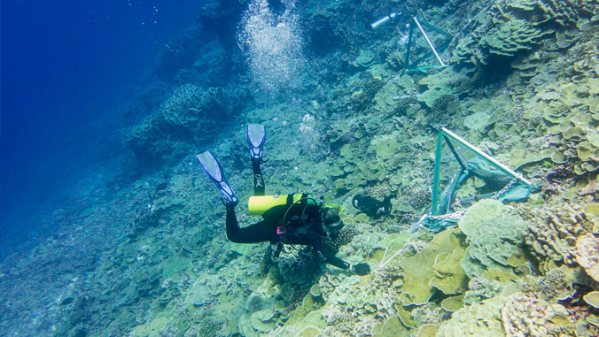 A scuba diver at the bottom of ocean floor.