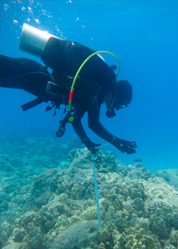 Deep-sea diver