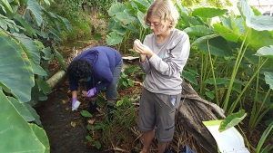 Sheree Watson and Catherine Hudson collect microbial water samples