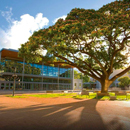 UH Mānoa again ranks among world’s best universities