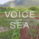 Voice of the Sea wins five Telly Awards