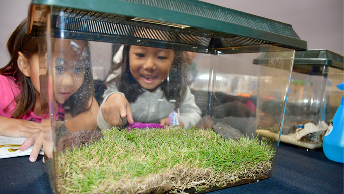 two students looking at a bug in an insect carrier