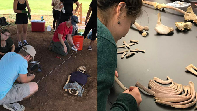 Students working in the field and in a lab