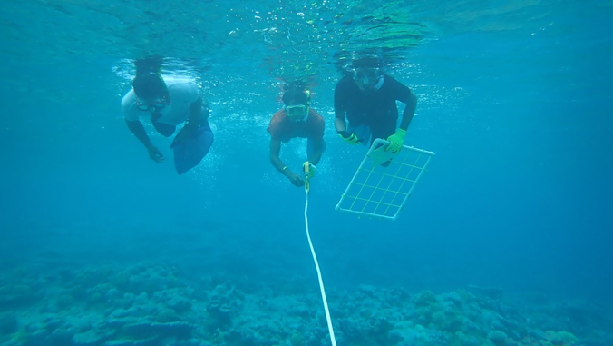 3 people diving in the ocean in the Marshall Islands