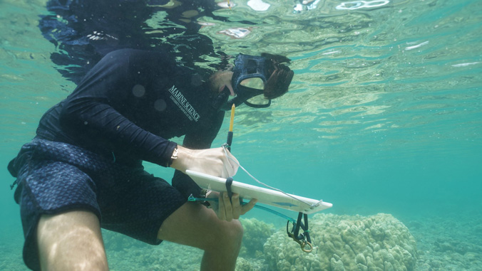 student surveying reef