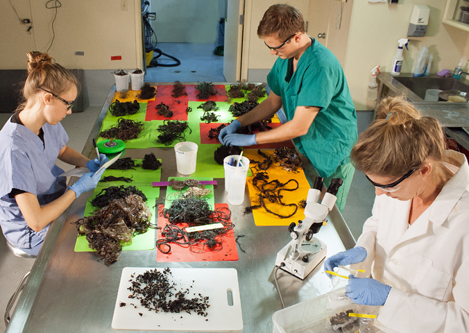 3 people sorting through debris