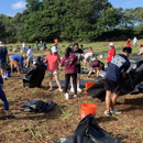 Helping Hawaiʻi become carbon neutral one tree at a time