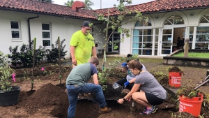 students planting trees