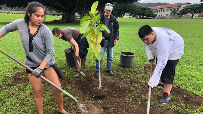 students planting trees