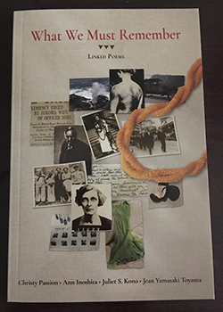What we Must Remember book cover