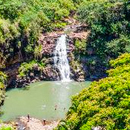 UH joins new national consortium to advance microbiome research