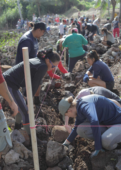 people working in fishpond