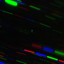 Mini-moon discovery made by UH Hilo grad