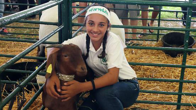 4-H participant with her goat