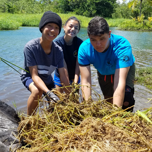 UH Maui College STEM education video featured in NSF showcase