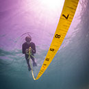 Tropical, temperate reefs react differently to fishing pressures