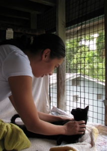 student preparing a cat for vaccination