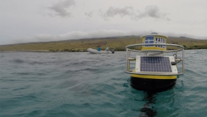 buoy off of Hawaii Island