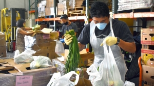 person putting vegatables in a bag