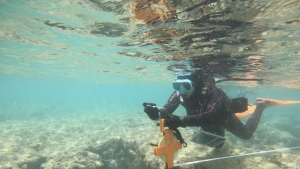 person swimming with a tape measure