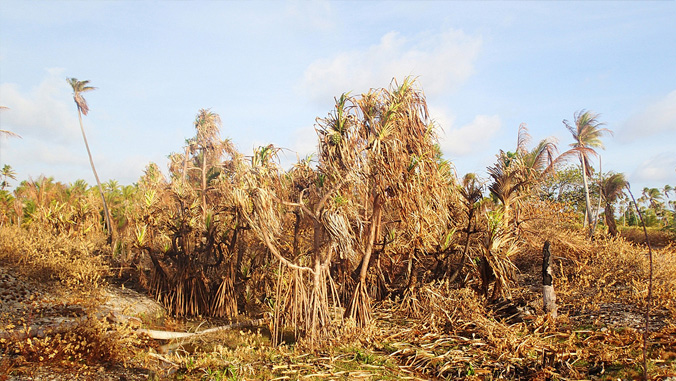 drought in Marshall Islands