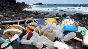 trash on beach