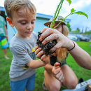Keiki agriculture grows with homeschool lessons