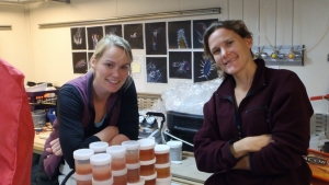 two women collecting samples