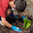 ‘Imiloa keiki enrichment program offers second session