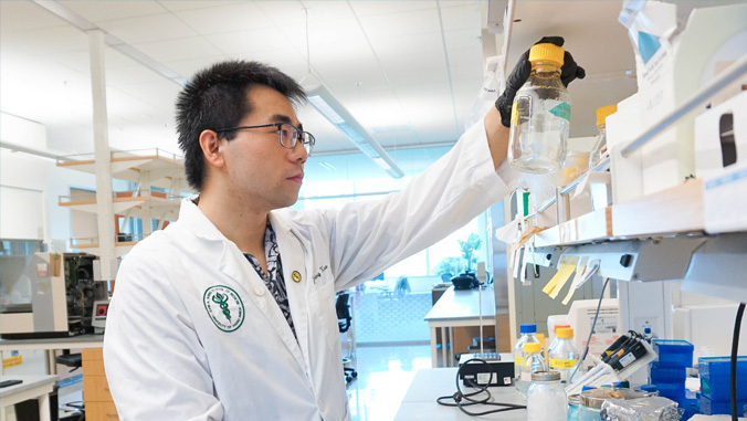 researcher working in the lab