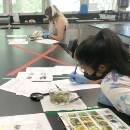 Web gallery: Life on-campus during COVID-19