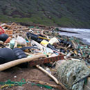 UH expert named to prestigious national committee on ocean plastic waste