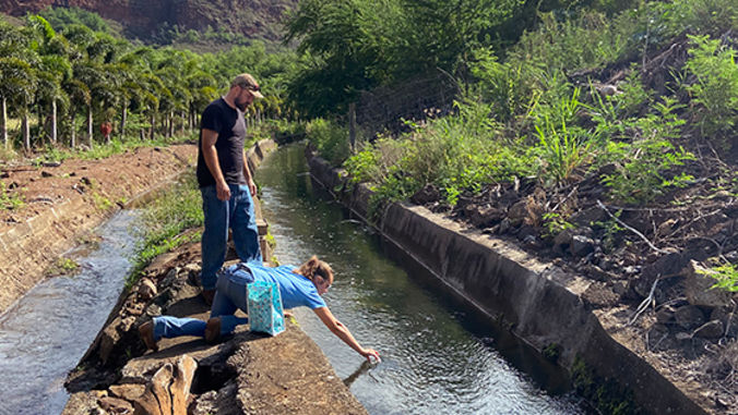 people collecting samples