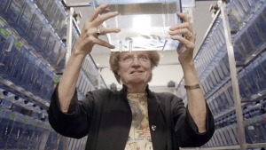 woman in a lab looking at a sample
