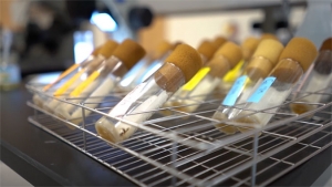 vials in a lab