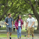 National survey: More UH Mānoa students satisfied with college experience