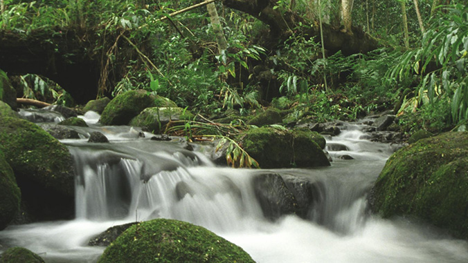 Hawaiʻi drought during El Niño winter? Not always | University of Hawaiʻi System News - UH System Current News