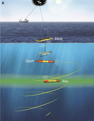 manoa-soest-marine-microbe-robots-2.jpg