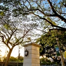 UH Mānoa to mark National Day of Racial Healing