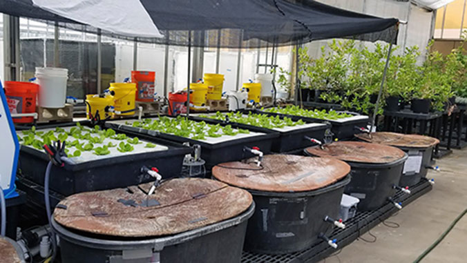 https://www.hawaii.edu/news/wp-content/uploads/2021/02/manoa-ctahr-aquaculture.jpg