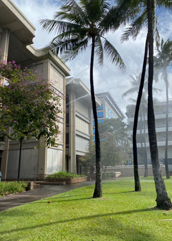 Water shooting out of Sakamaki Hall during firefighter training