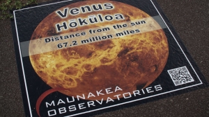 Venus decal