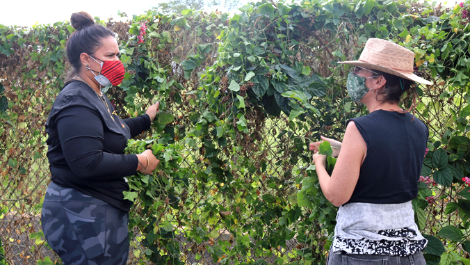 two people standing by plants