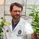 Biochemist wins NSF CAREER Award for 3D plant metabolism research