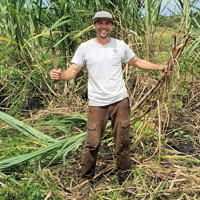 Can sugarcane create jet fuel?