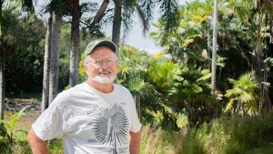 Don Hemmes