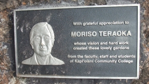 Teraoka plaque